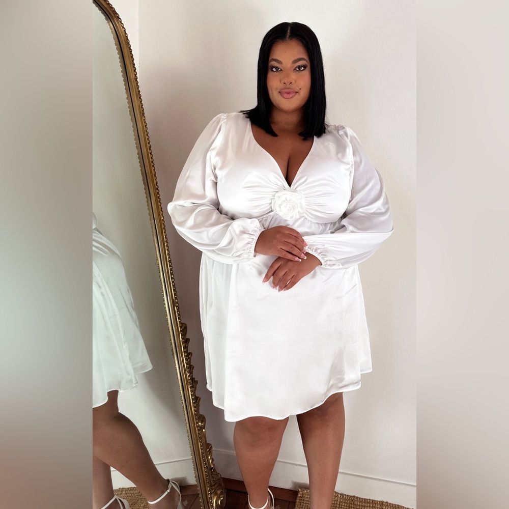 Show Me Your MuMu Rosetta Mini Dress - Picture 3 of 11